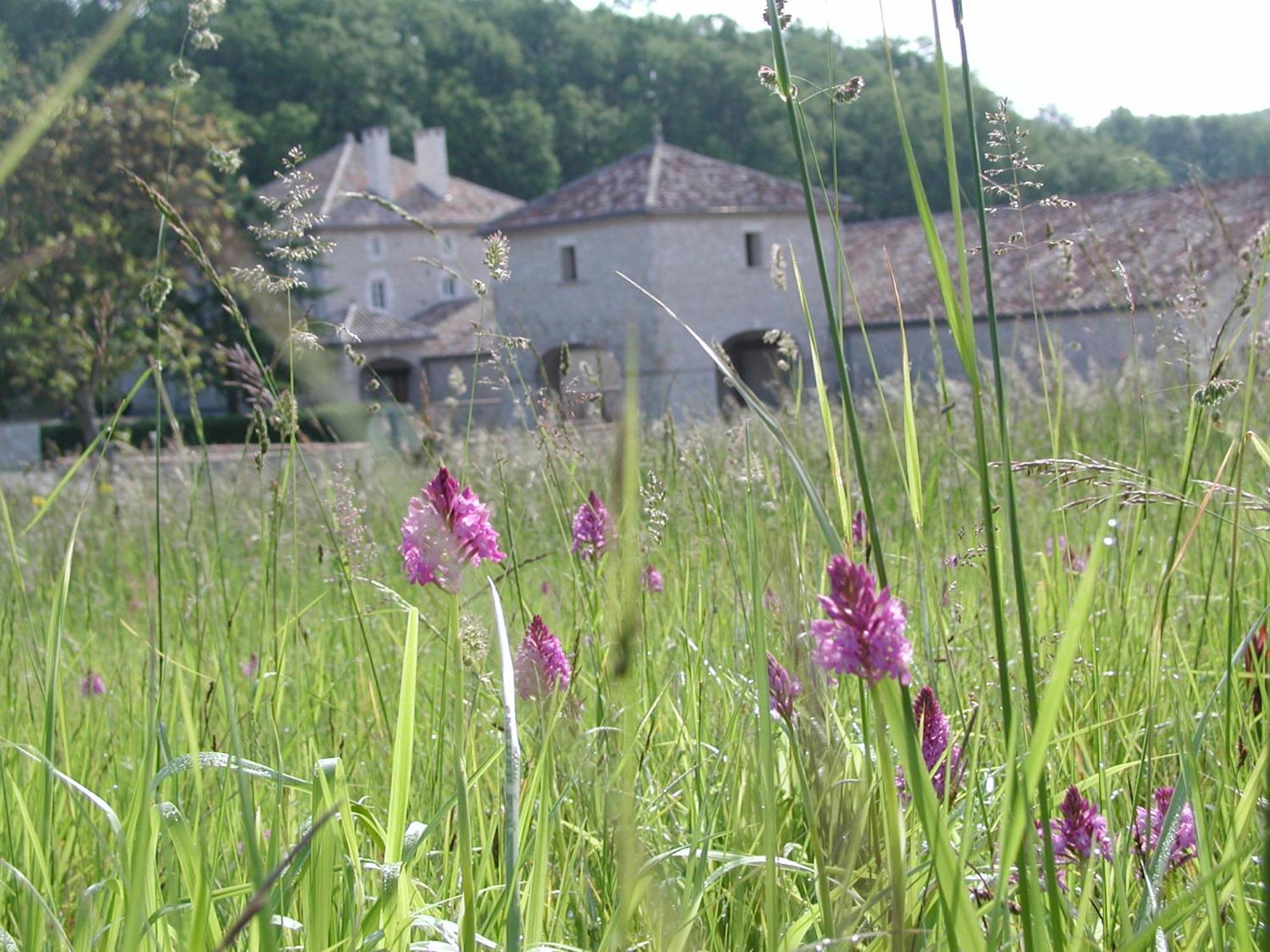 Broze Chateau Lecusse - La Grande Roche - Hotel, Spa, Boutique & Restaurant מראה חיצוני תמונה