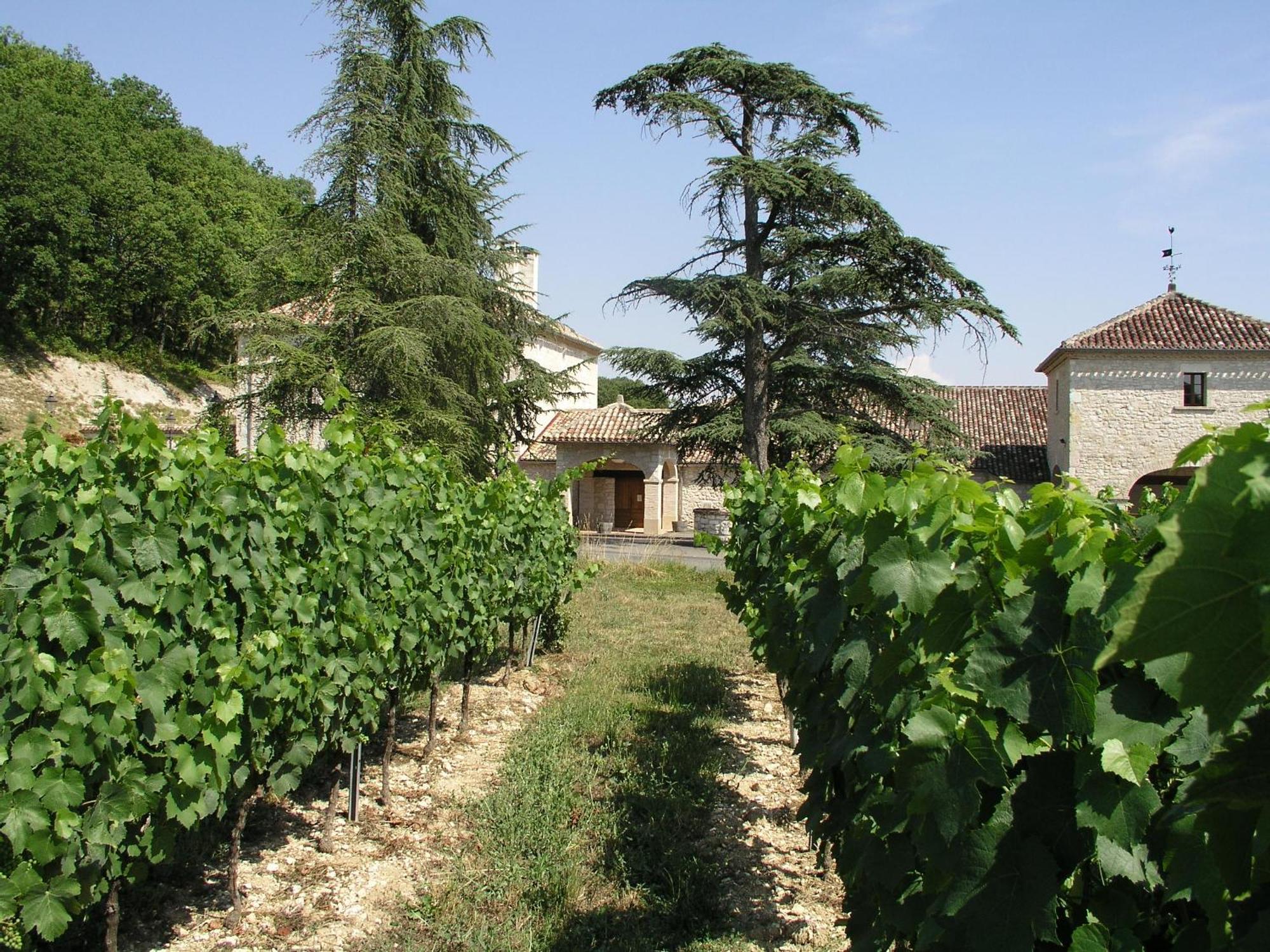 Broze Chateau Lecusse - La Grande Roche - Hotel, Spa, Boutique & Restaurant מראה חיצוני תמונה
