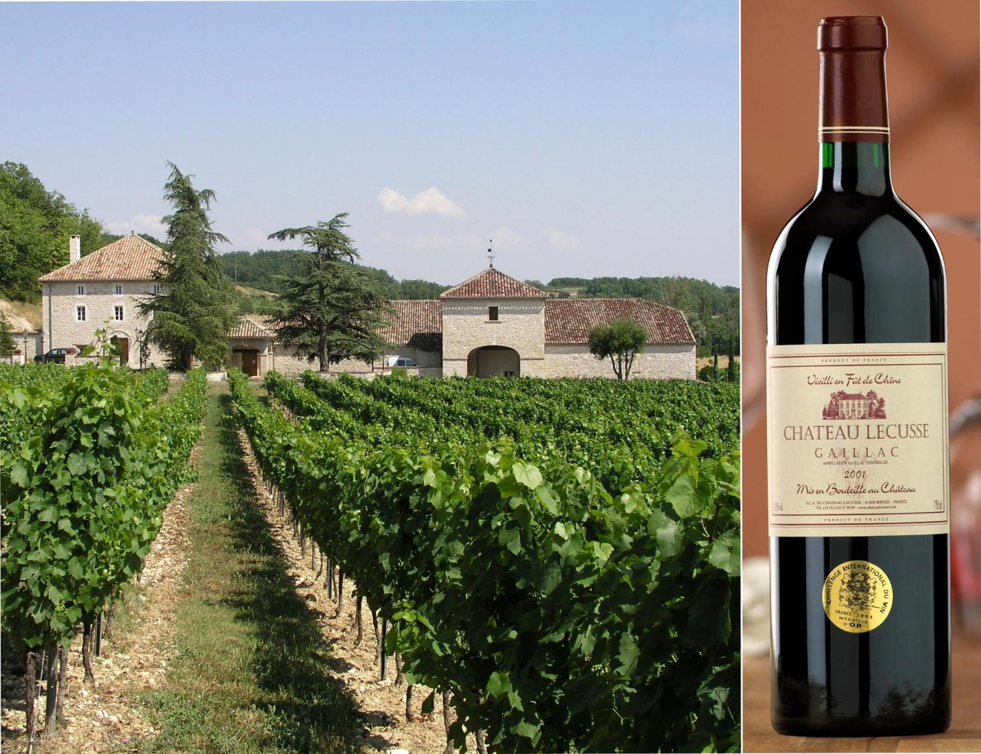 Broze Chateau Lecusse - La Grande Roche - Hotel, Spa, Boutique & Restaurant מראה חיצוני תמונה